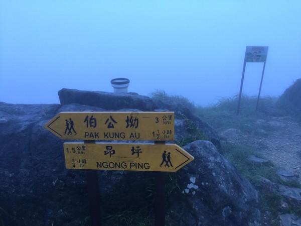 张一元好还是吴裕泰好？游戏画面